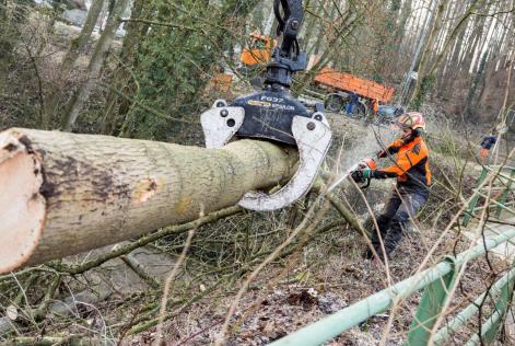 Patrick Mueller Bescharbechten