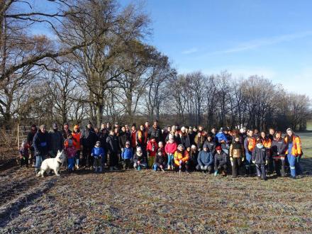 Plantation Kronospan 2025 1