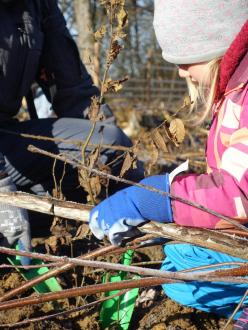 Plantation Kronospan 9