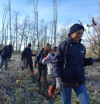 Plantation Kronospan 2