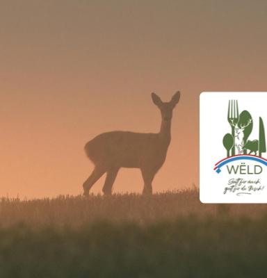 Chasse weld avec logo (2)