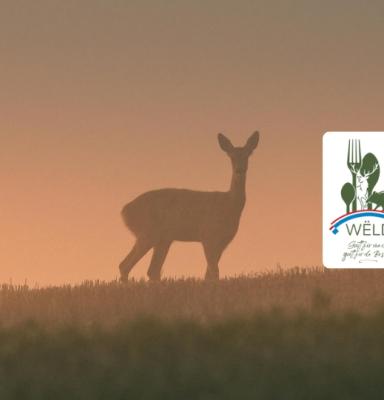 Chasse weld avec logo