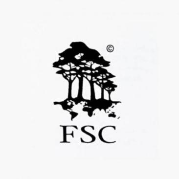 fsc first logo